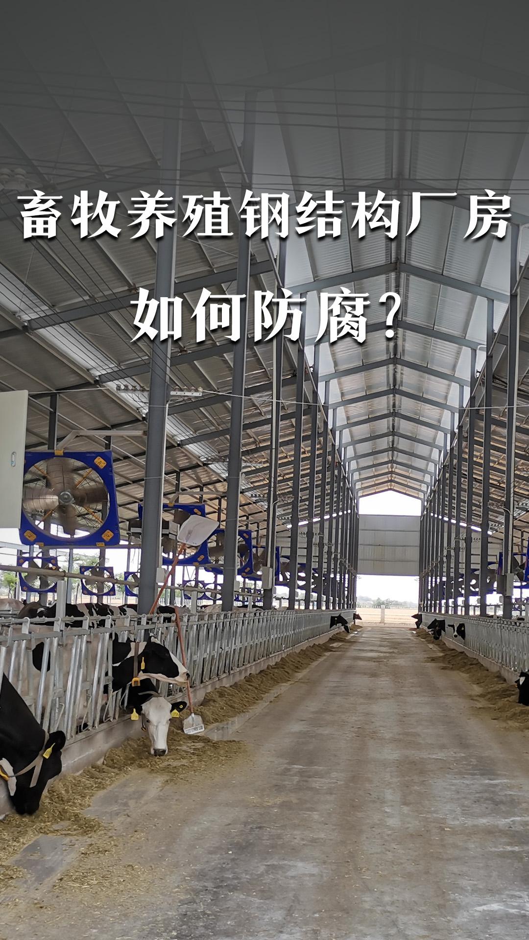 畜牧養(yǎng)殖鋼結(jié)構(gòu)廠房如何防腐？